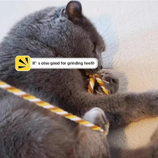 Cat Toy Interactive Teasing Rod with Rope for Cats to Chew and Chase Kitten Teaser Toy Pet Cats Wand Toys Stick Toy - Image 4